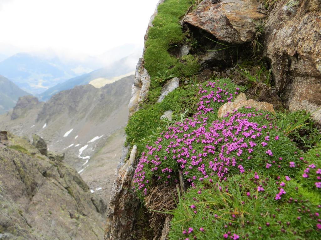 Hotel Jennys Schloessl Serfaus Bagian luar foto